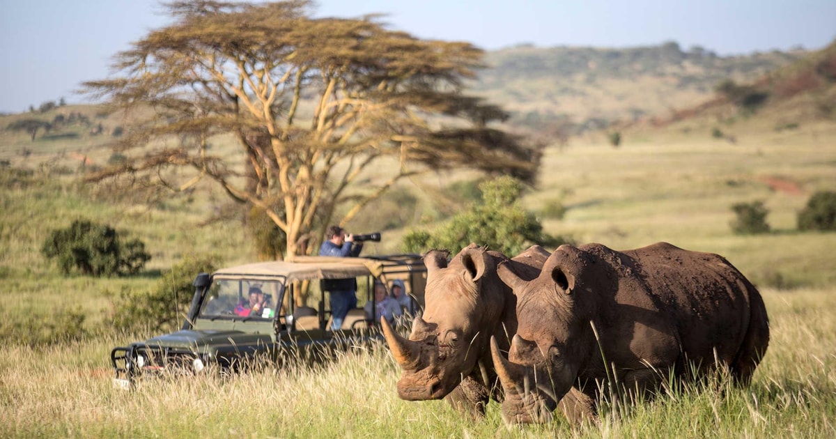 Safari vehicle on the savanna at golden hour in Kenya